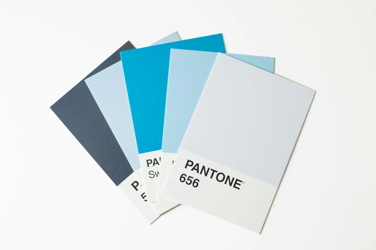 Pantone colour swatches